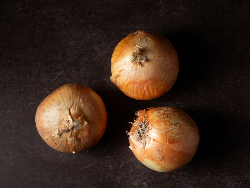 タマネギ写真