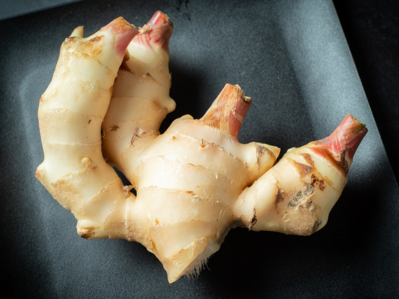 生姜写真